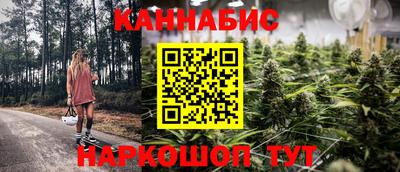 сатива Беслан