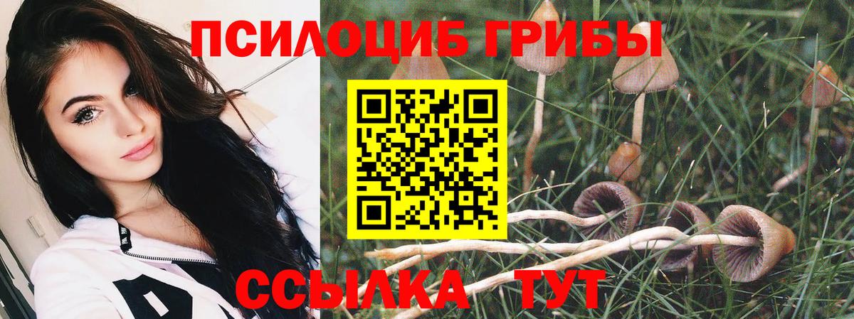 Псилоцибиновые грибы мицелий  Вход с VPN  Кизляр 
